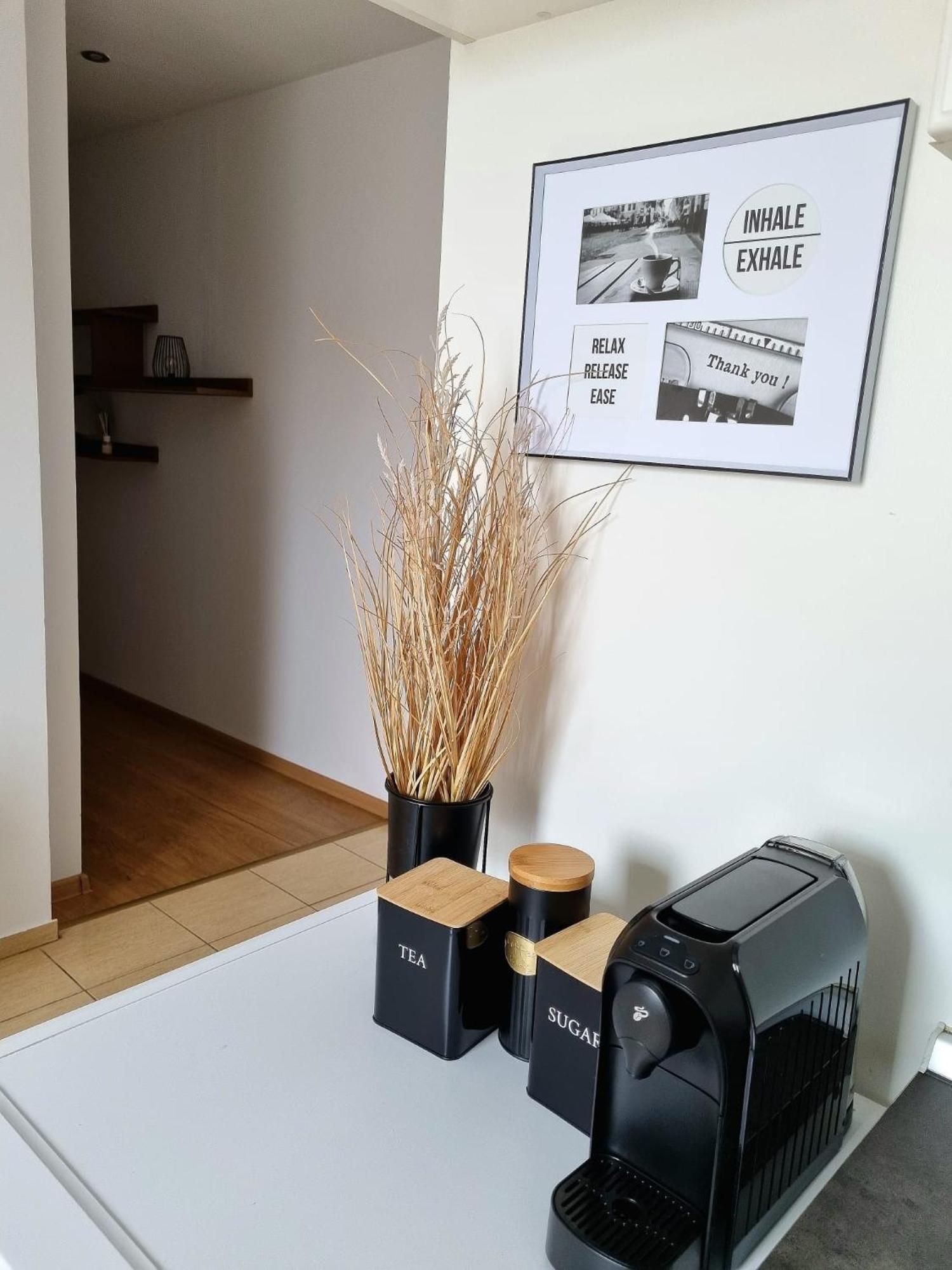 Iulius Town Charm Cozy Apartments تيميشورا المظهر الخارجي الصورة